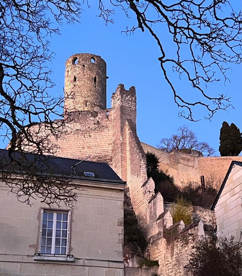 Le Rabelais, Superbe Appartement En Duplex, Proche Forteresse Et Monument Historique Шинон Екстериор снимка