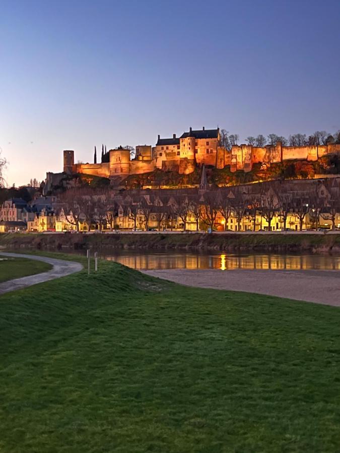 Le Rabelais, Superbe Appartement En Duplex, Proche Forteresse Et Monument Historique Шинон Екстериор снимка